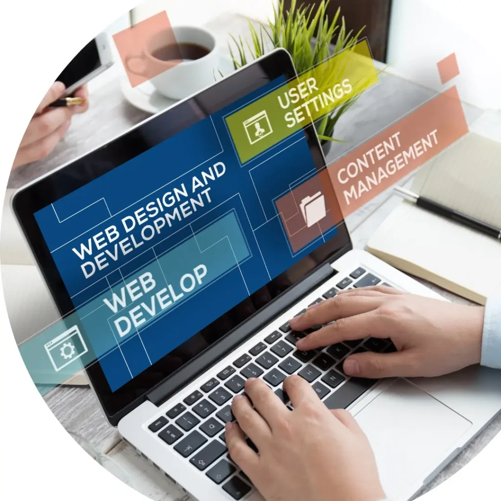 web development service
